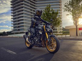 25YM-CB1000-Hornet-SP-aws-035