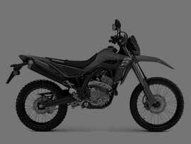 CRF300L