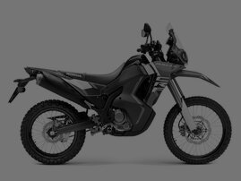 CRF300 Rally