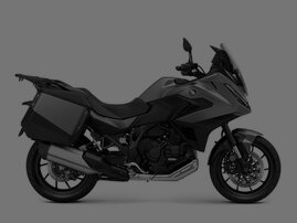 NT1100 DCT