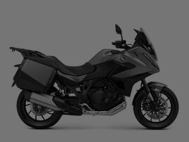 NT1100 MAN