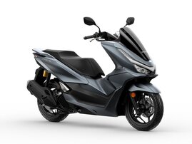 Mat Dim Gray Metallic