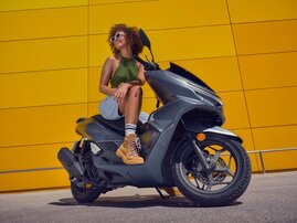 Mat Dim Gray Metallic