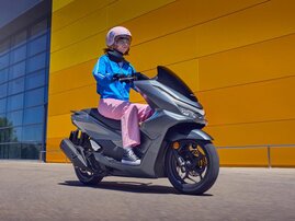 Mat Dim Gray Metallic